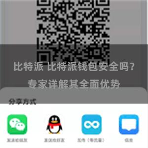 比特派 比特派钱包安全吗？专家详解其全面优势