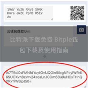 比特派下载免费 Bitpie钱包下载及使用指南