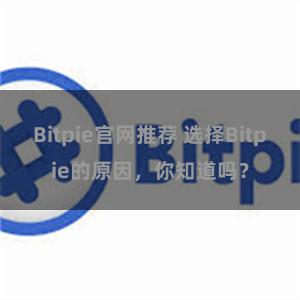 Bitpie官网推荐 选择Bitpie的原因，你知道吗？