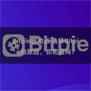 Bitpie移动版 选择Bitpie的原因，你知道吗？