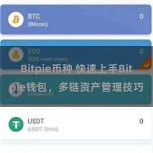 Bitpie币种 快速上手Bitpie钱包，多链资产管理技巧