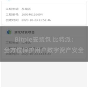 Bitpie安装包 比特派：全方位保护用户数字资产安全