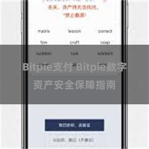 Bitpie支付 Bitpie数字资产安全保障指南