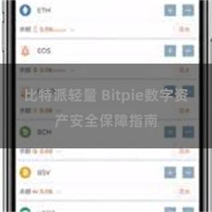 比特派轻量 Bitpie数字资产安全保障指南