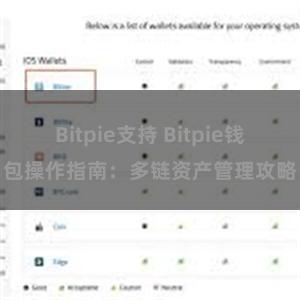 Bitpie支持 Bitpie钱包操作指南：多链资产管理攻略