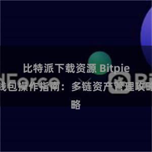 比特派下载资源 Bitpie钱包操作指南：多链资产管理攻略