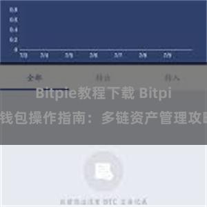 Bitpie教程下载 Bitpie钱包操作指南：多链资产管理攻略