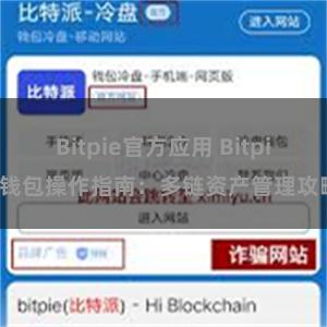 Bitpie官方应用 Bitpie钱包操作指南：多链资产管理攻略