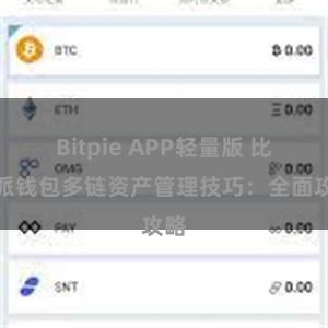 Bitpie APP轻量版 比特派钱包多链资产管理技巧：全面攻略