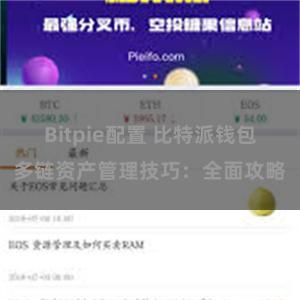 Bitpie配置 比特派钱包多链资产管理技巧：全面攻略