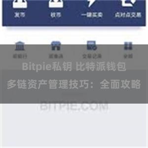 Bitpie私钥 比特派钱包多链资产管理技巧：全面攻略