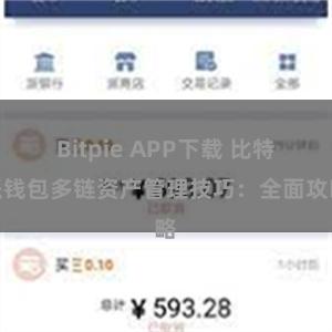 Bitpie APP下载 比特派钱包多链资产管理技巧：全面攻略