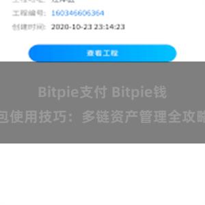 Bitpie支付 Bitpie钱包使用技巧：多链资产管理全攻略