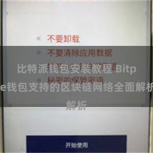 比特派钱包安装教程 Bitpie钱包支持的区块链网络全面解析