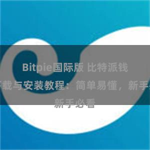 Bitpie国际版 比特派钱包下载与安装教程：简单易懂，新手必看