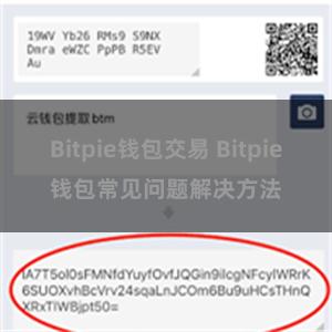 Bitpie钱包交易 Bitpie钱包常见问题解决方法