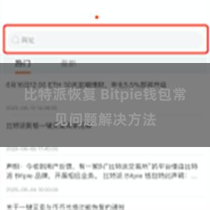 比特派恢复 Bitpie钱包常见问题解决方法