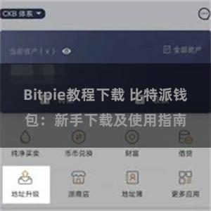 Bitpie教程下载 比特派钱包：新手下载及使用指南