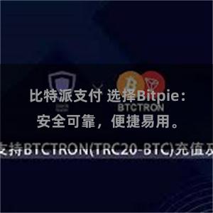 比特派支付 选择Bitpie：安全可靠，便捷易用。