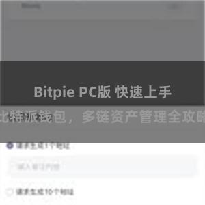 Bitpie PC版 快速上手比特派钱包，多链资产管理全攻略