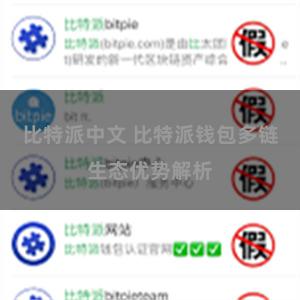 比特派中文 比特派钱包多链生态优势解析