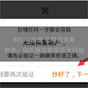 Bitpie加密 比特派恢复软件：轻松解决数据丢失问题