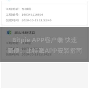 Bitpie APP客户端 快速简便：比特派APP安装指南