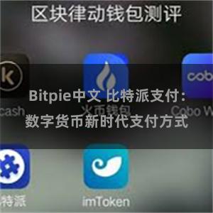 Bitpie中文 比特派支付：数字货币新时代支付方式