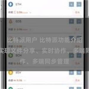 比特派用户 比特派功能介绍：轻松实现文件分享、实时协作、多端同步管理