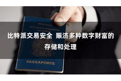 比特派交易安全  赈济多种数字财富的存储和处理