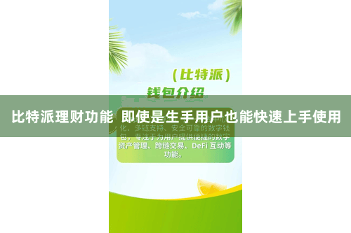 比特派理财功能  即使是生手用户也能快速上手使用