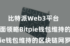 比特派Web3平台  咱们将全面领略Bitpie钱包维持的区块链网罗